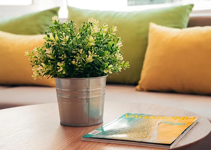 Bohobox 普罗夫迪夫